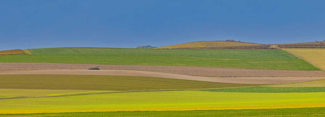 GrowGood's Greenprint - Our Technical Journey with Valueflows and REA Accounting