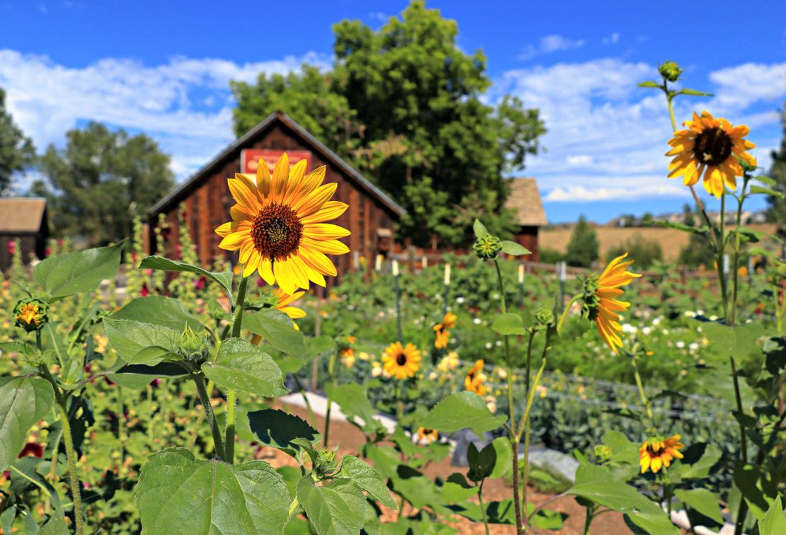 Building a Digital Commons for a New Food Economy