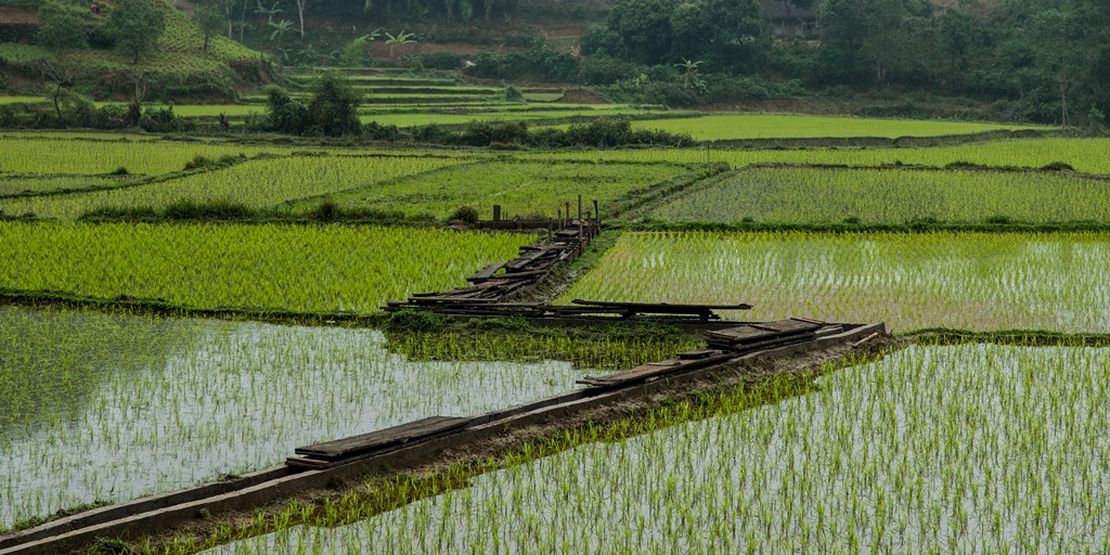 A System That Fits Your Farm