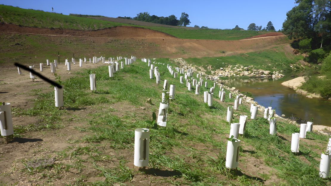 Living Ecological Ledger